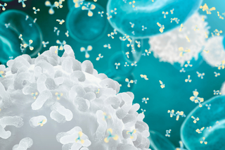 Magnesium for Immunity: Stay Healthy This Cold & Flu Season