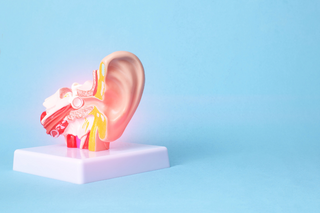 Tinnitus Relief: Understanding Causes and Effective Solutions